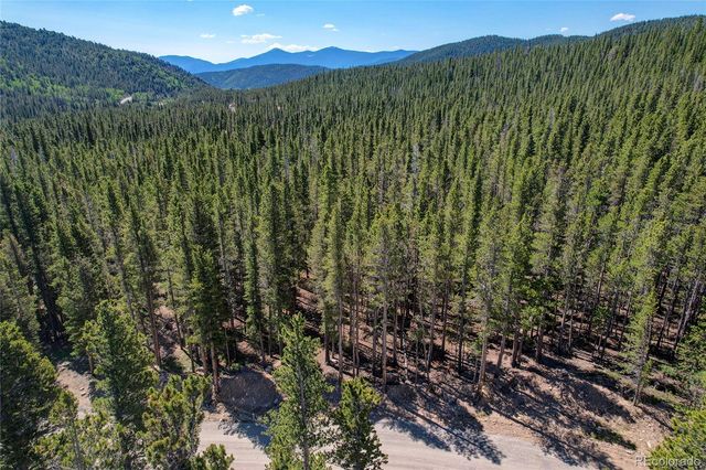 Lot 172 Lower Forest Road, Idaho Springs, CO 80452