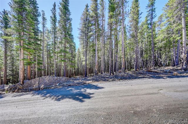 Lot 172 Lower Forest Road, Idaho Springs, CO 80452