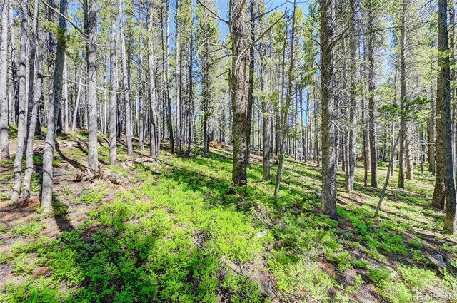 Lot 172 Lower Forest Road, Idaho Springs, CO 80452