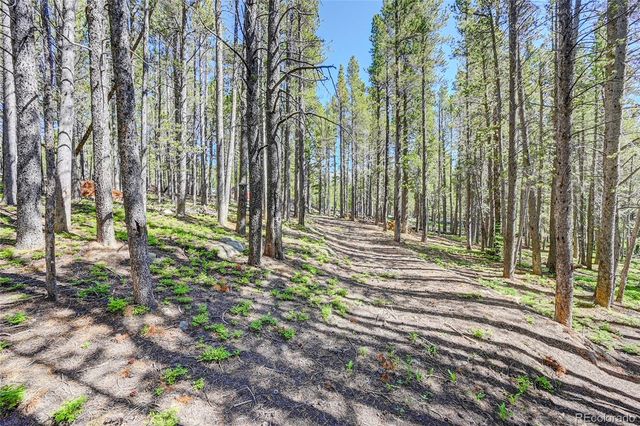Lot 172 Lower Forest Road, Idaho Springs, CO 80452