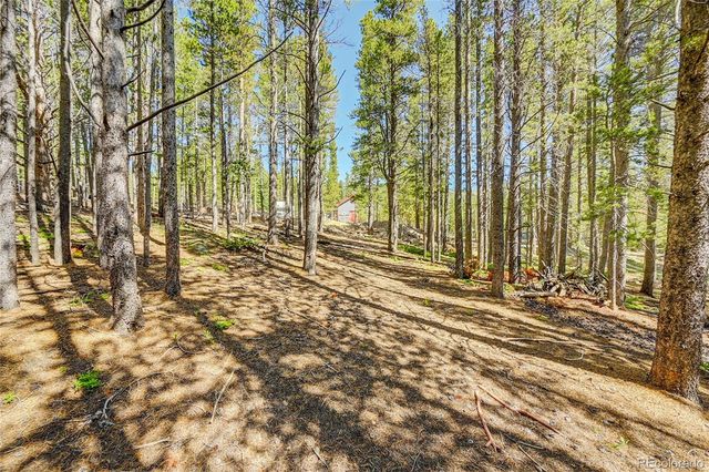 Lot 172 Lower Forest Road, Idaho Springs, CO 80452