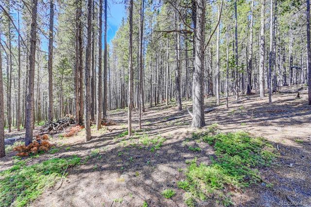 Lot 172 Lower Forest Road, Idaho Springs, CO 80452