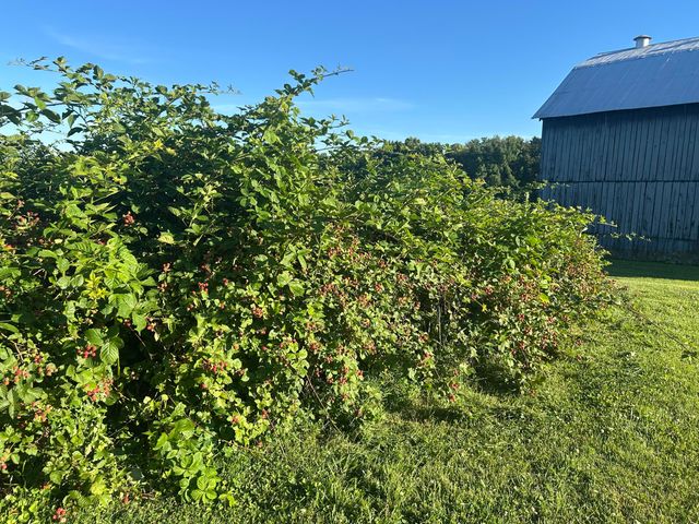 586 Harristown Road, Russell Springs, KY 42642