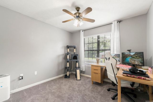 295 Niagra Falls, Conway, AR 72032