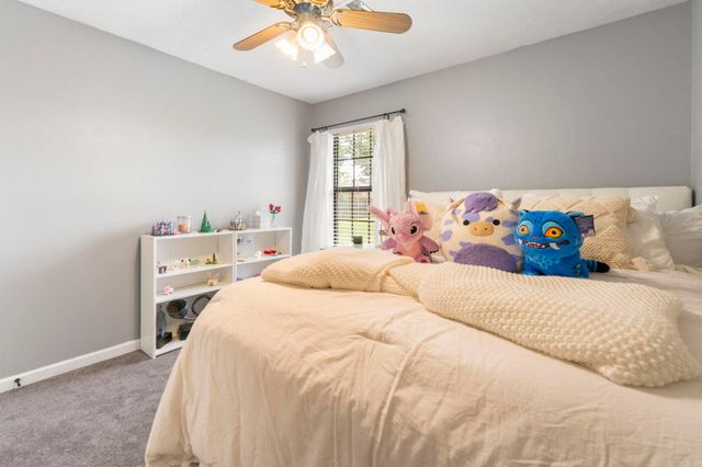 295 Niagra Falls, Conway, AR 72032