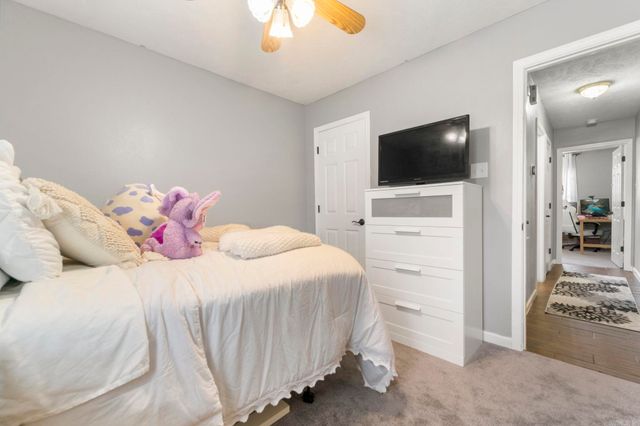 295 Niagra Falls, Conway, AR 72032