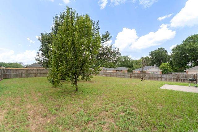 295 Niagra Falls, Conway, AR 72032