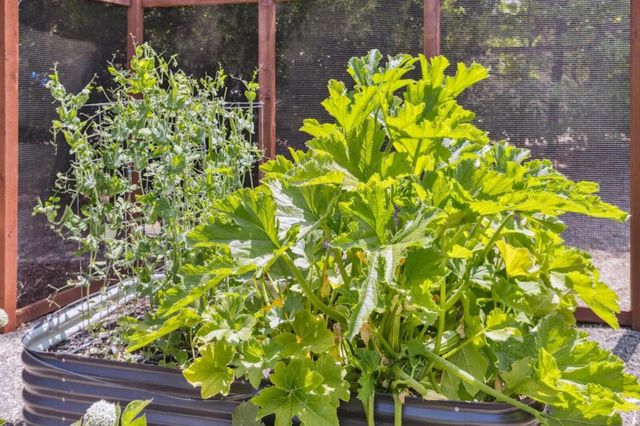 23583 Summit Road, Los Gatos, CA 95033