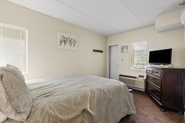 413 Baskins Creek Rd UNIT 308, Gatlinburg, TN 37738