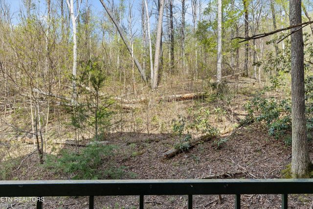 413 Baskins Creek Rd UNIT 308, Gatlinburg, TN 37738