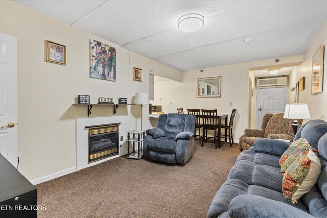 413 Baskins Creek Rd UNIT 308, Gatlinburg, TN 37738