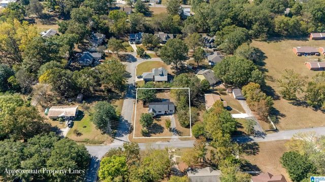 213 ROLLING MILL STREET, Helena, AL 35080