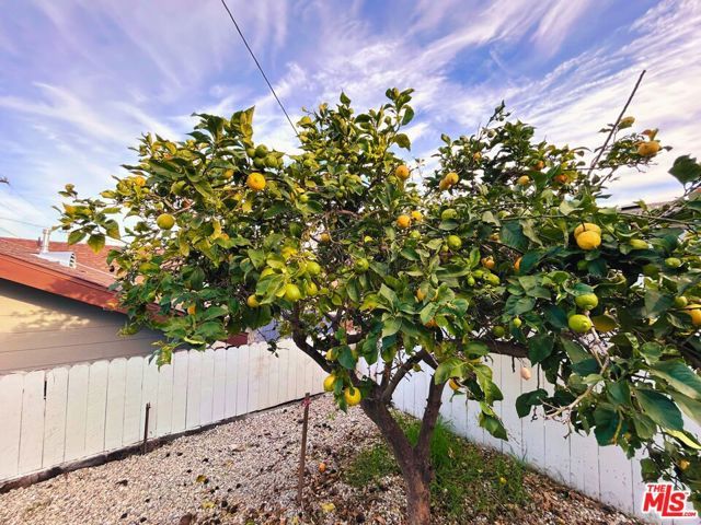 1109 N Chester Avenue, Inglewood, CA 90302