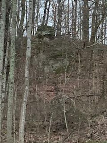 0 Highway 599, Jeffersonville, KY 40337