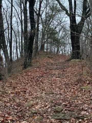 0 Highway 599, Jeffersonville, KY 40337