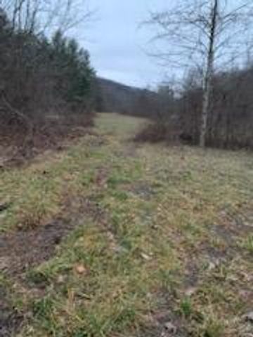 0 Highway 599, Jeffersonville, KY 40337