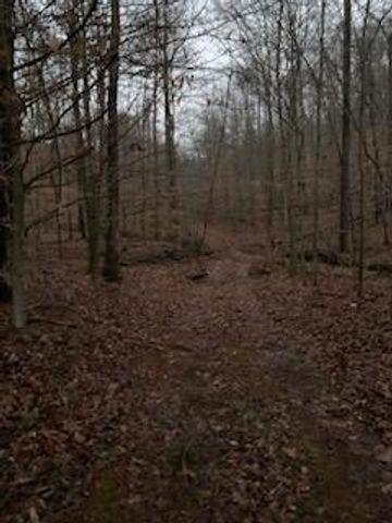 0 Highway 599, Jeffersonville, KY 40337