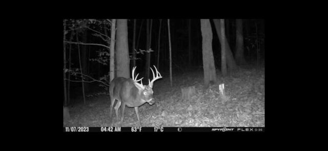 0 Highway 599, Jeffersonville, KY 40337