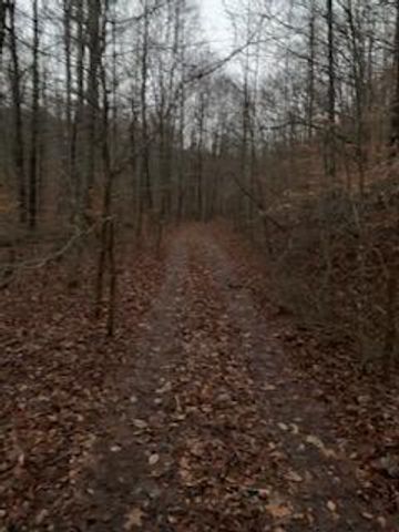 0 Highway 599, Jeffersonville, KY 40337