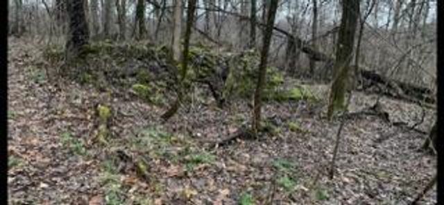 0 Highway 599, Jeffersonville, KY 40337