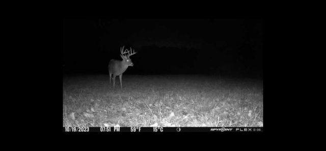 0 Highway 599, Jeffersonville, KY 40337