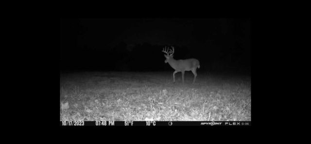 0 Highway 599, Jeffersonville, KY 40337