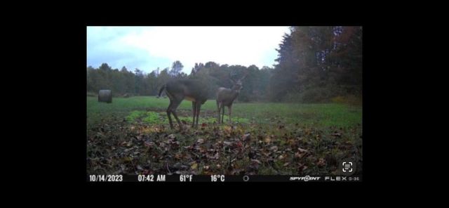 0 Highway 599, Jeffersonville, KY 40337