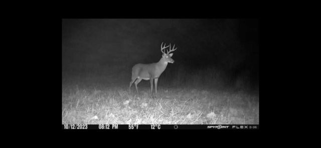 0 Highway 599, Jeffersonville, KY 40337