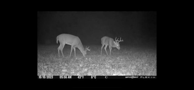 0 Highway 599, Jeffersonville, KY 40337