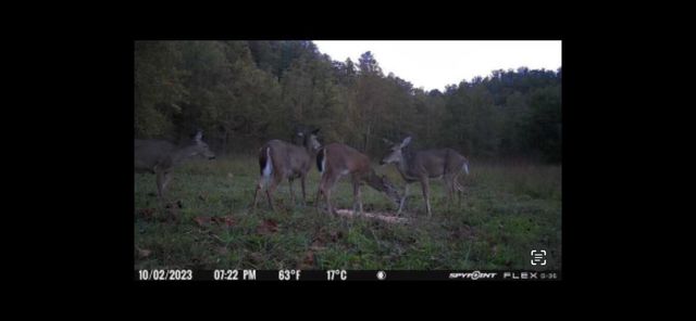 0 Highway 599, Jeffersonville, KY 40337