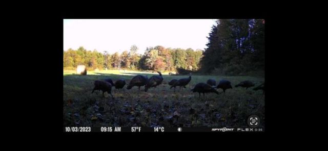 0 Highway 599, Jeffersonville, KY 40337