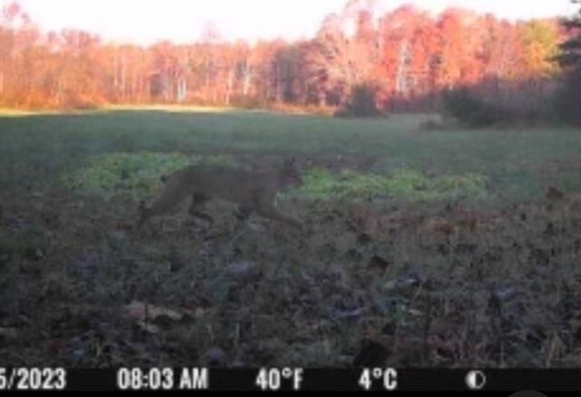 0 Highway 599, Jeffersonville, KY 40337