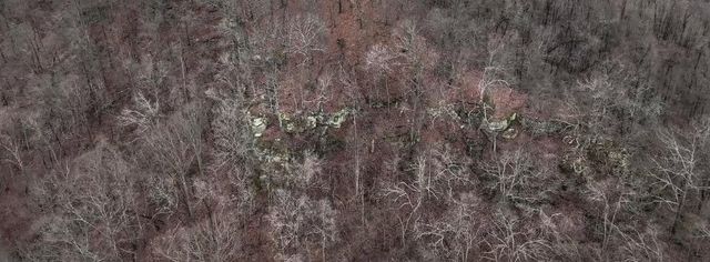 0 Highway 599, Jeffersonville, KY 40337