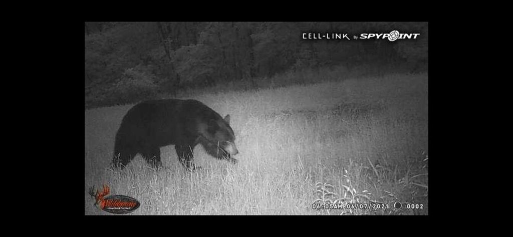 0 Highway 599, Jeffersonville, KY 40337