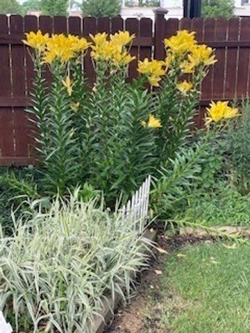 3 E Slade Street, Palatine, IL 60067