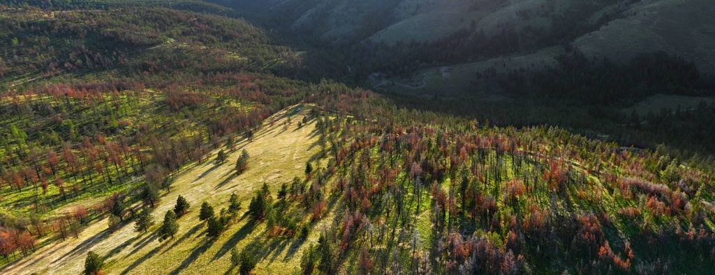 NHN McLaughlin Creek Road, Paradise, MT 59856 photo 5