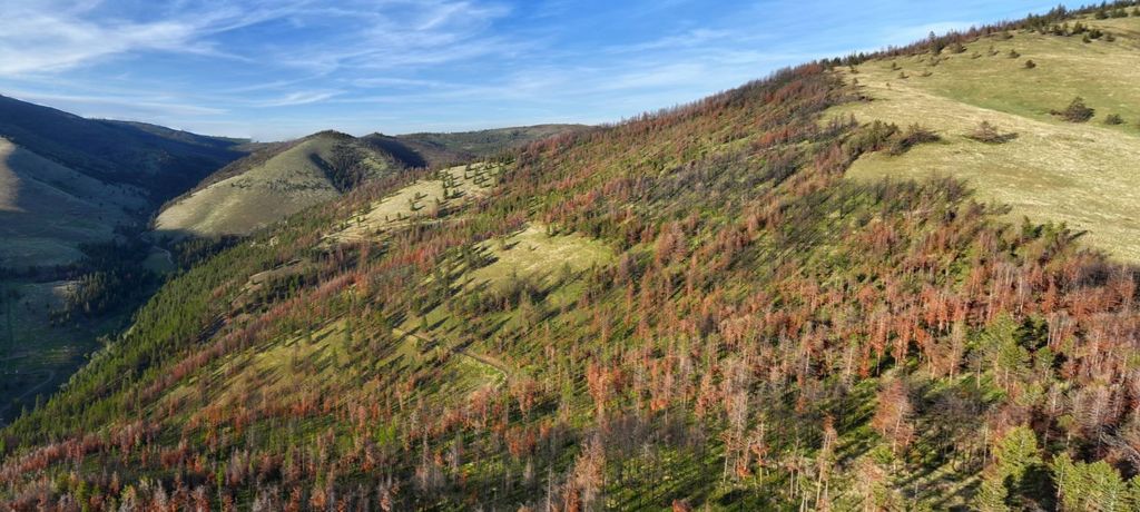 NHN McLaughlin Creek Road, Paradise, MT 59856 photo 6
