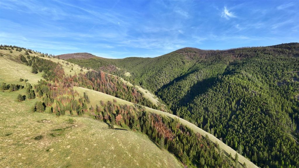 NHN McLaughlin Creek Road, Paradise, MT 59856 photo 9