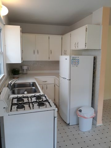 13225 S Buffalo Avenue, Chicago, IL 60633