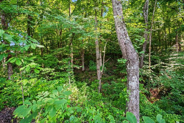 1222 Rooster Ridge, Pleasant View, TN 37146