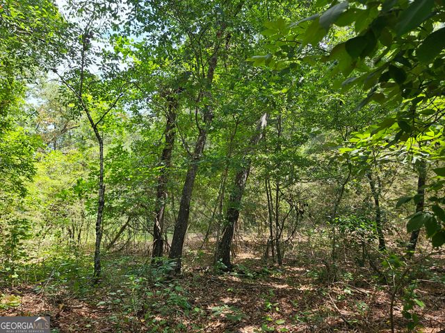 LOT 4 June Ivey Road, Bethlehem, GA 30620