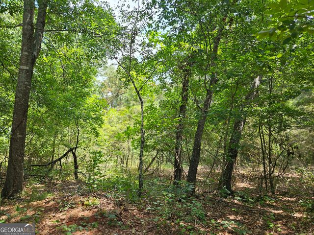 LOT 4 June Ivey Road, Bethlehem, GA 30620