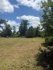 199 Mulberry Cove, Onalaska, TX 77360