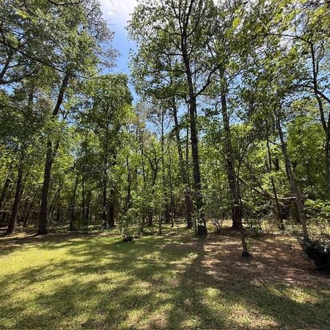 41503 N Mill Drive, Magnolia, TX 77354