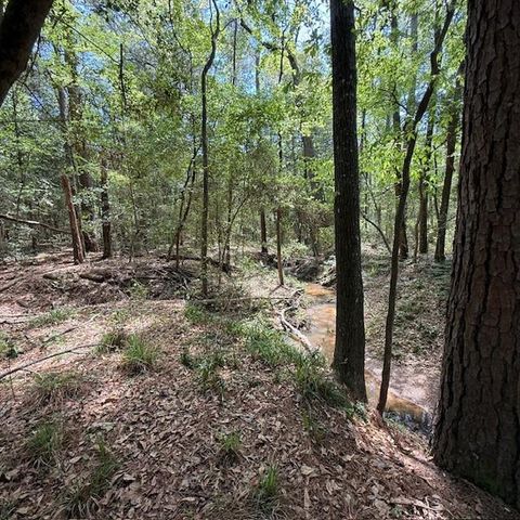 41503 N Mill Drive, Magnolia, TX 77354