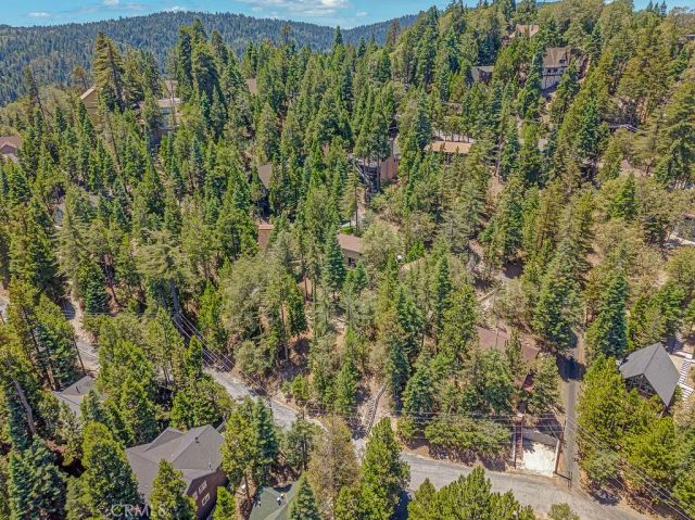 318 Old Toll Road, Lake Arrowhead, CA 92352