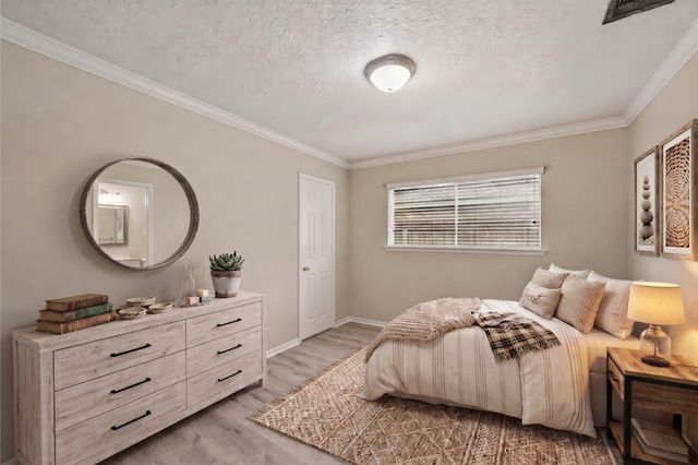 5007 W Plum Street, Pearland, TX 77581