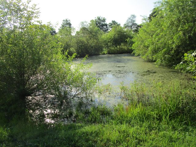 1136 Patrick Road, Stanford, KY 40484