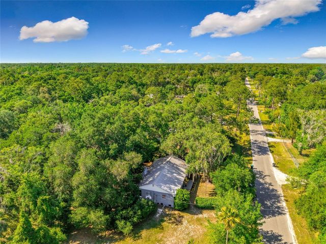 1338 SAINT NICHOLAS AVENUE, Christmas, FL 32709