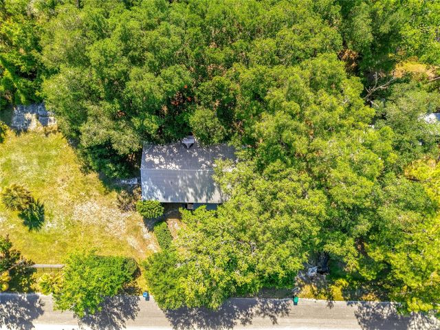 1338 SAINT NICHOLAS AVENUE, Christmas, FL 32709